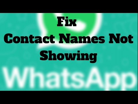 Fix - WhatsApp Not Showing  Names but Only Numbers